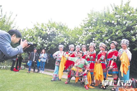 長沙市春天開什麼花——從詩意到科學：探尋春天的色彩與芬芳