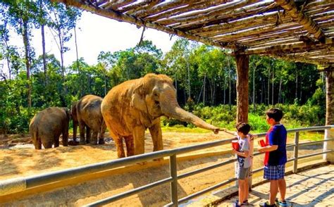 濟南哪個動物園最大?動物園的規模並非唯一的評價標準